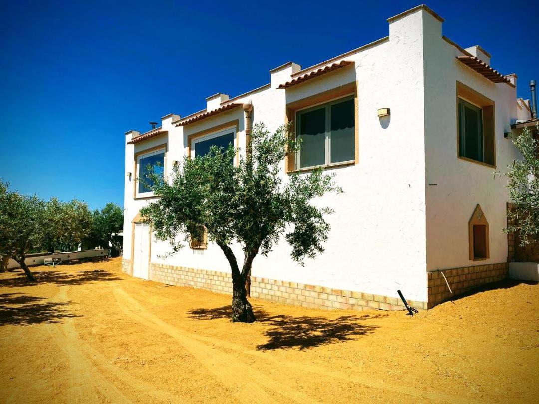 Villa Immersa In Oliveto Vista Mare Sciacca Bagian luar foto