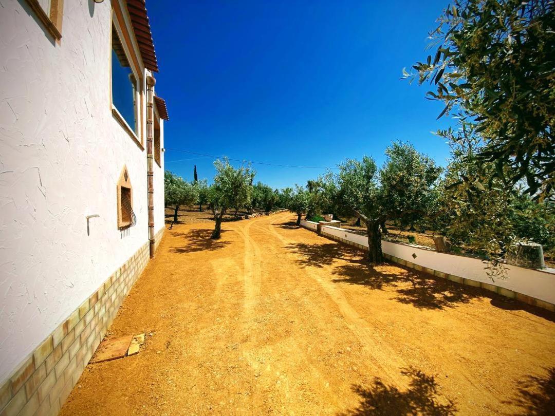 Villa Immersa In Oliveto Vista Mare Sciacca Bagian luar foto