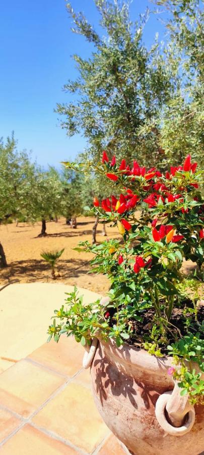Villa Immersa In Oliveto Vista Mare Sciacca Bagian luar foto