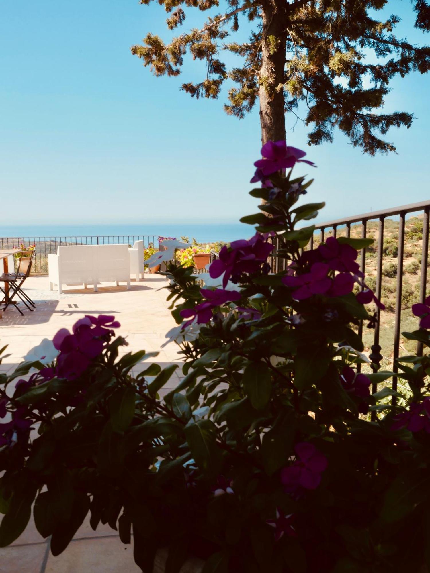 Villa Immersa In Oliveto Vista Mare Sciacca Bagian luar foto