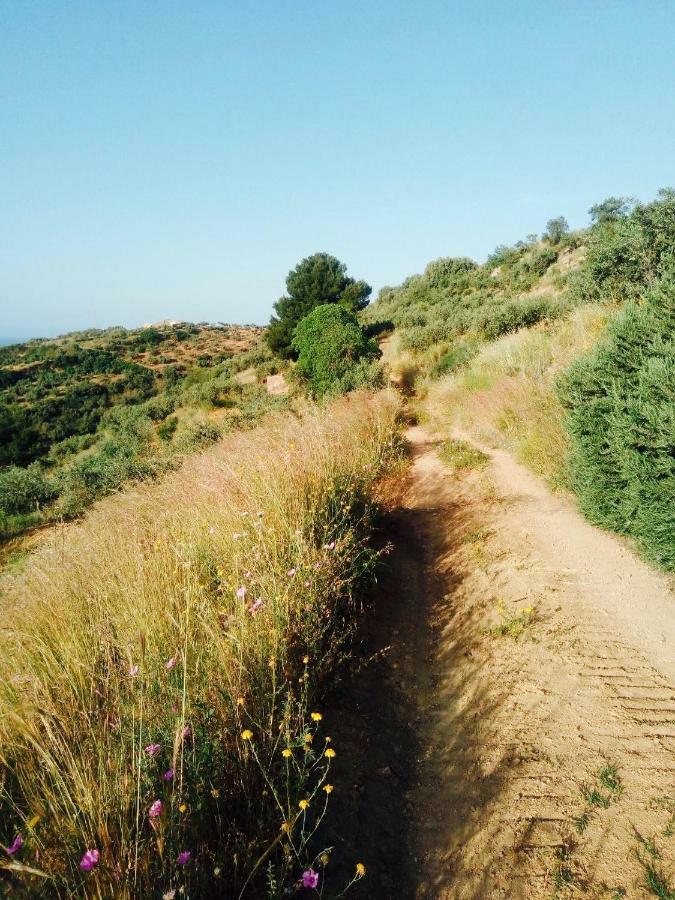 Villa Immersa In Oliveto Vista Mare Sciacca Bagian luar foto
